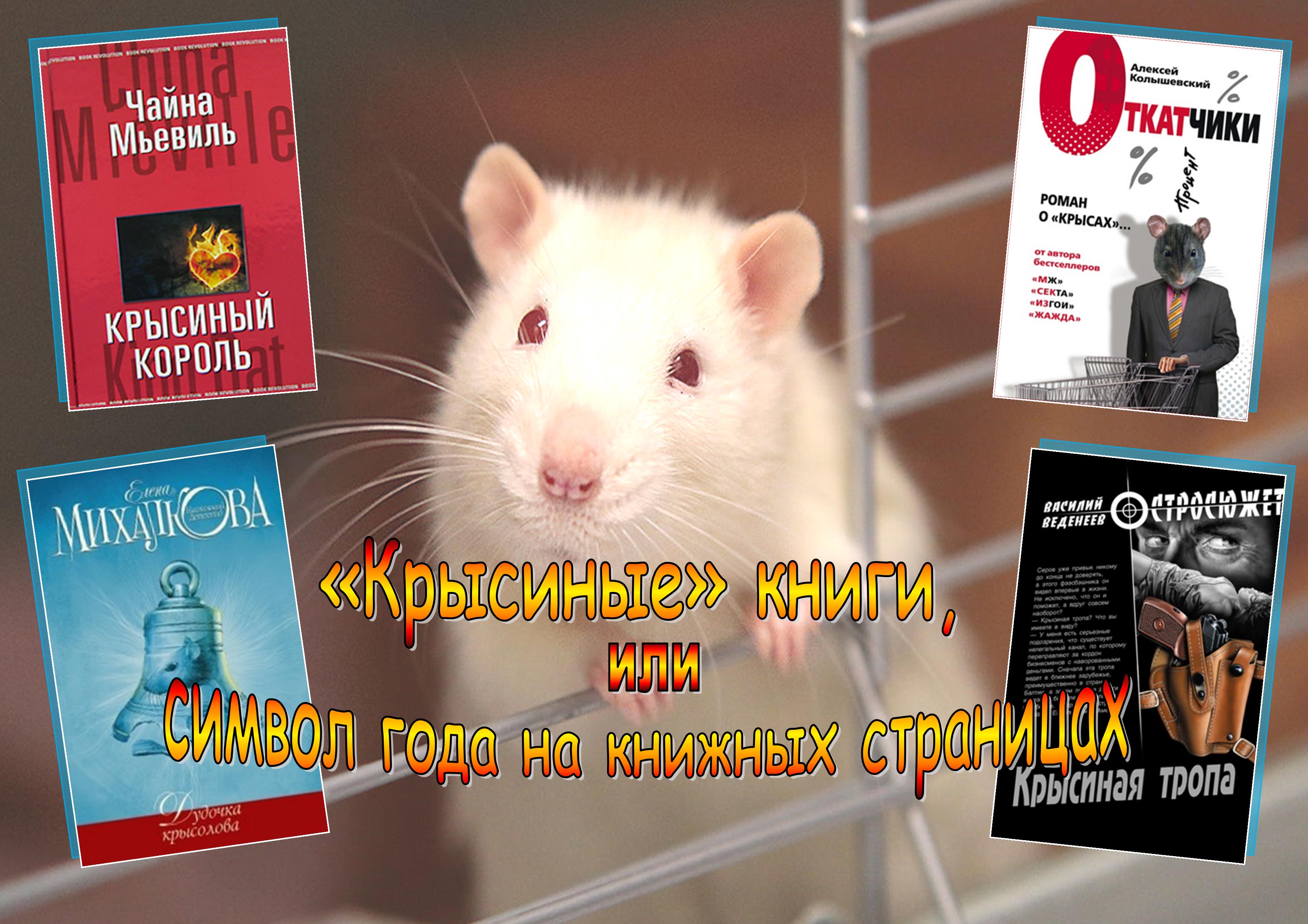 Читать книгу крысиный бег